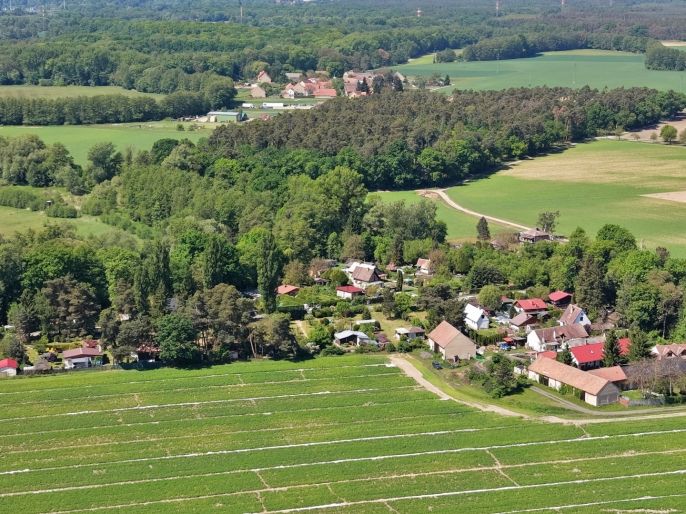 Prodej, Les, Lysá nad Labem