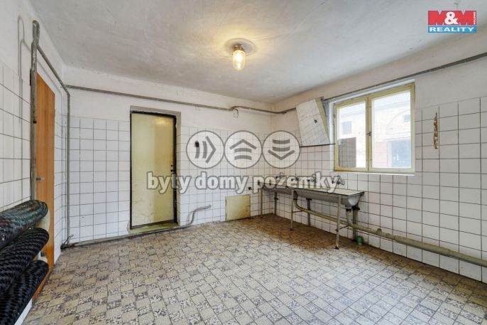 Prodej, Výrobní objekt, Chodová Planá