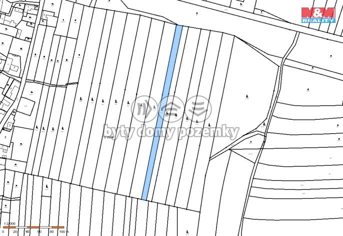 Prodej, Les, Dražíč