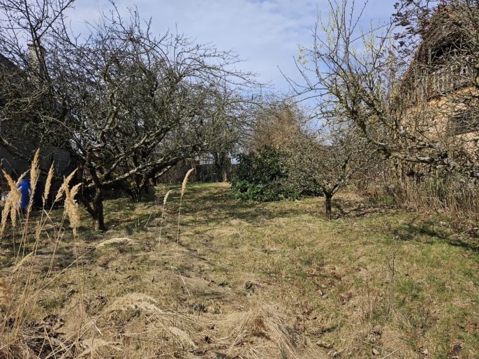 Prodej, Zahrada, Šternberk