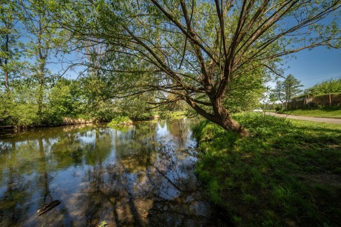 Prodej, Chata, Dobřany
