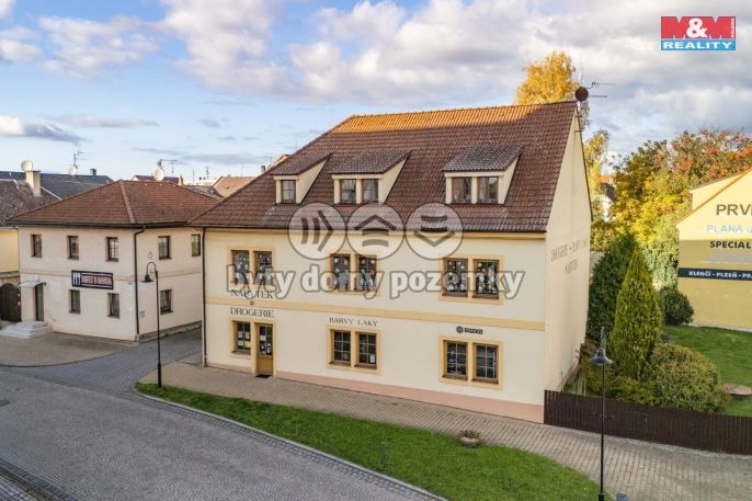 Pronájem, Obchod a služby, Bor