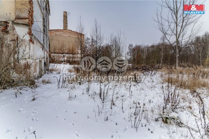 Prodej, Ostatní, Krásná Lípa