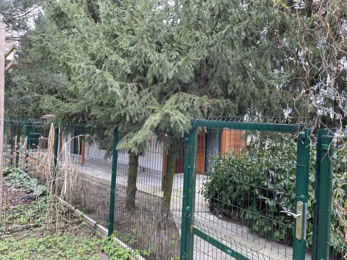 Pronájem, Rodinný dům, Lysá nad Labem