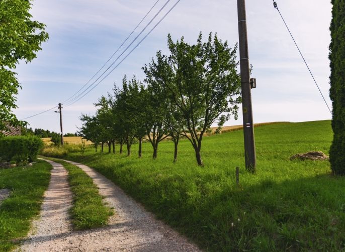 Prodej, Rodinný dům, Javornice