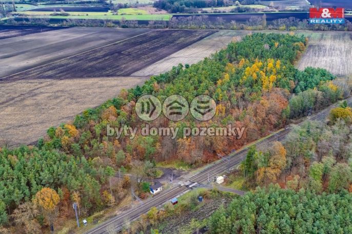 Prodej, Les, Lysá nad Labem