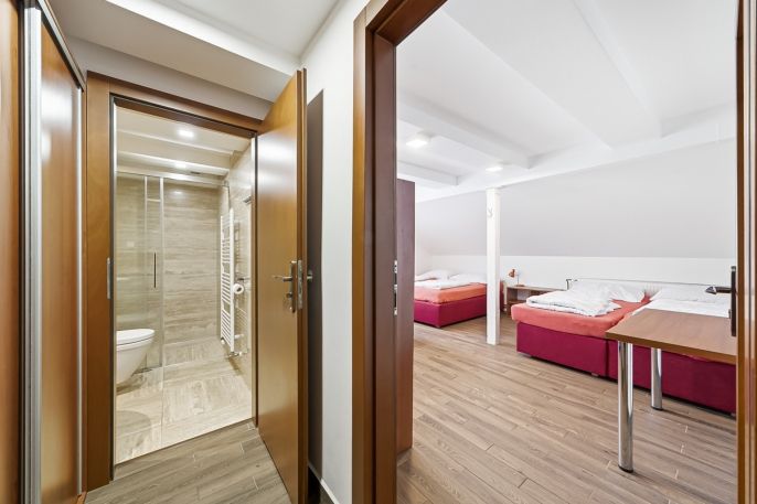 Prodej, Hotel, penzion, Čenkovice