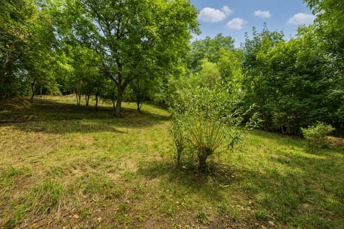 Prodej, Zahrada, Kostelec nad Orlicí