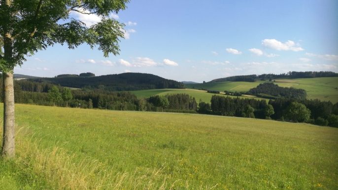 Prodej, Hotel, penzion, Borušov