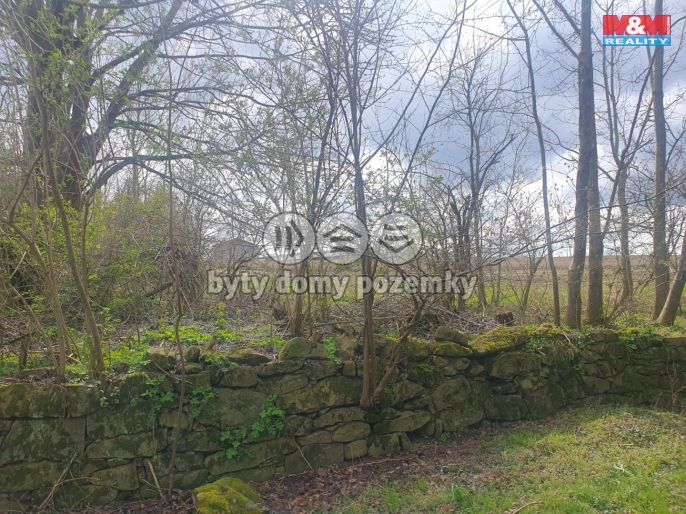 Prodej, Pole, Kozlovice