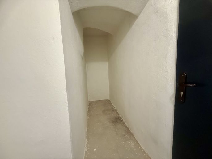 Pronájem, Obchod a služby, Slaný