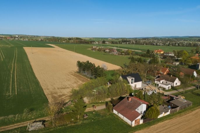 Prodej, Zahrada, Krakov