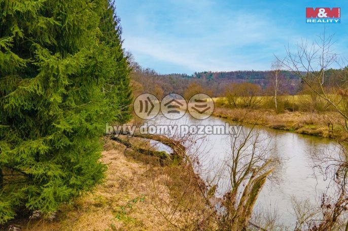 Prodej, Les, Zruč-Senec