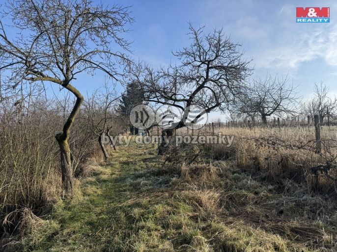 Prodej, Chata, Hrušovany u Brna