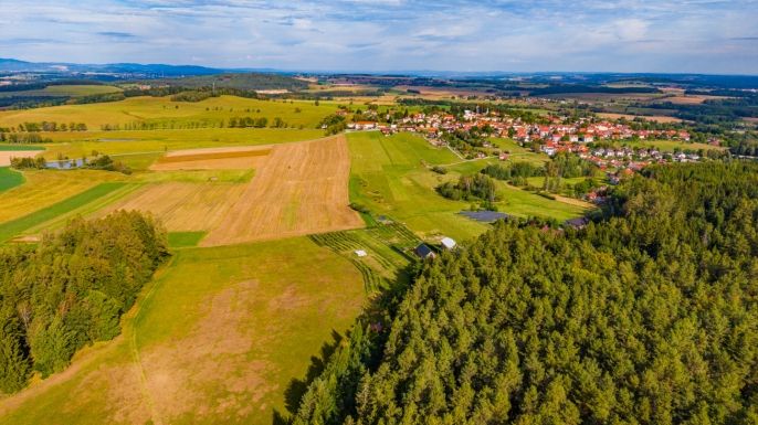 Prodej, Zahrada, Besednice