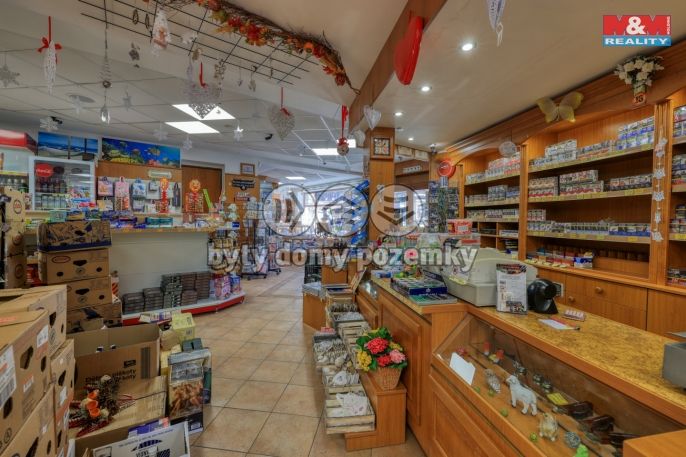 Pronájem, Obchod a služby, Železná Ruda