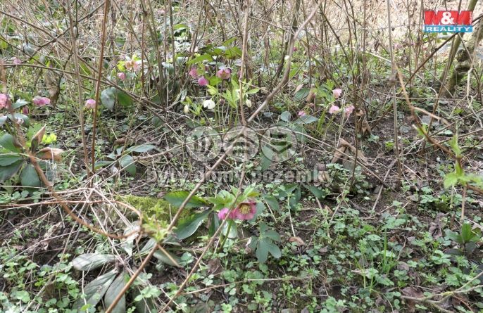 Prodej, Pozemek k bydlení, Králův Dvůr