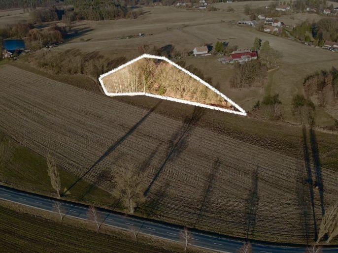 Prodej, Louka, Bošín