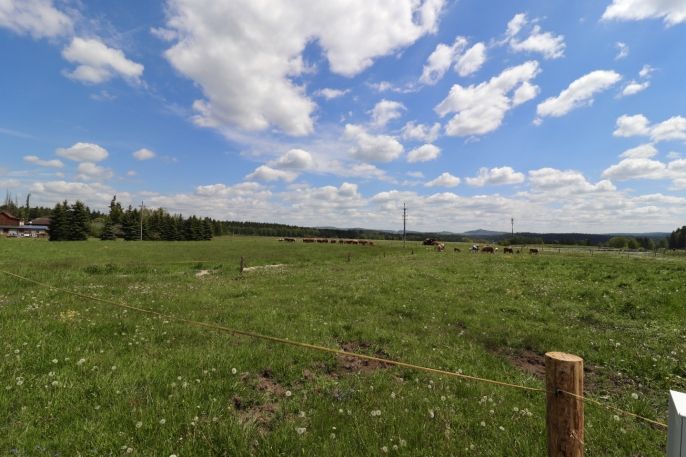 Prodej, Pozemek k bydlení, Kolová
