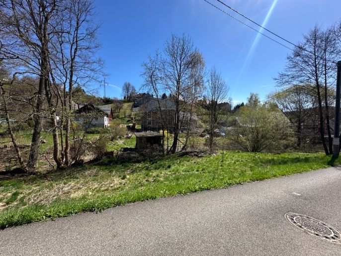 Pronájem, Byt 3+1, Lučany nad Nisou