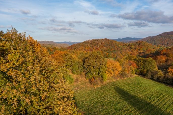 Prodej, Louka, Ústí nad Labem