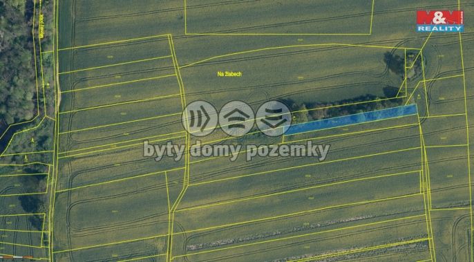 Prodej, Pole, Všestudy