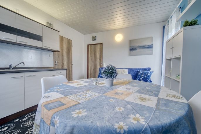 Prodej, Hotel, penzion, Železná Ruda