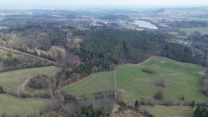 Prodej, Les, Mrákotín