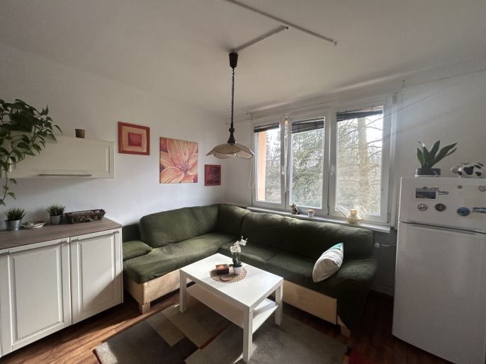 Pronájem, Byt 1+1, Ústí nad Labem