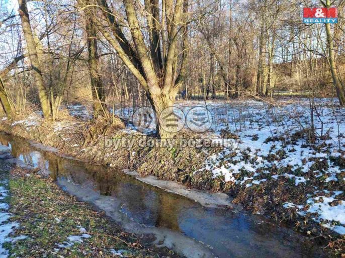 Prodej, Zahrada, Kořenice