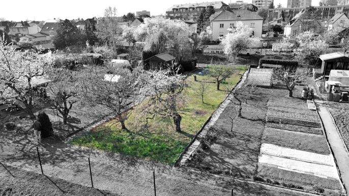 Prodej, Zahrada, Hradec Králové