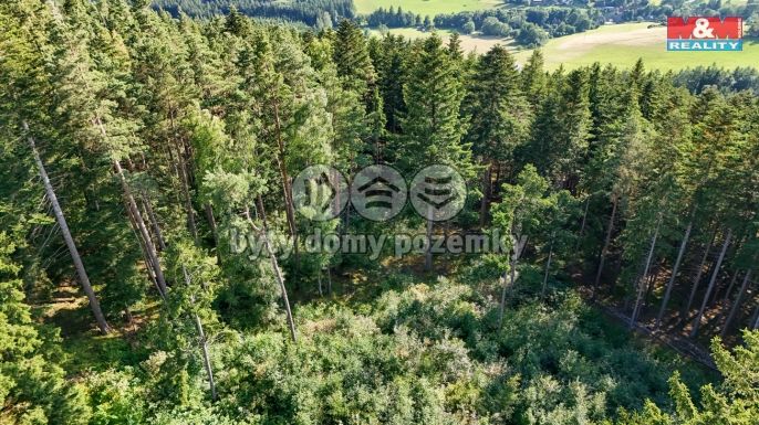 Prodej, Les, Petrovice u Sušice