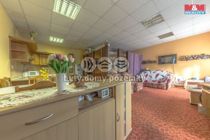 Prodej, Obchod a služby, Tanvald