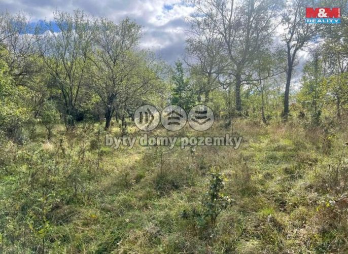 Prodej, Zahrada, Lešany