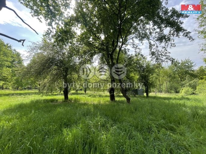 Prodej, Zahrada, Jeníkov