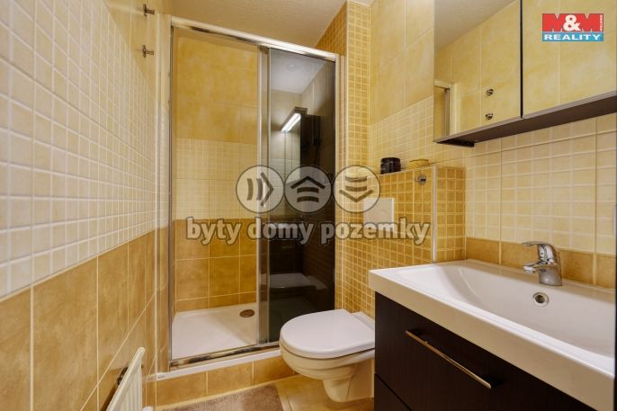 Prodej, Byt 2+kk, Železná Ruda