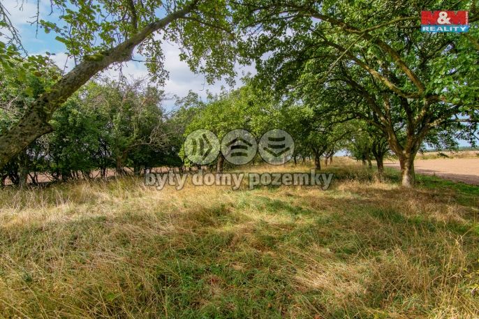 Prodej, Pozemek k bydlení, Kbelany