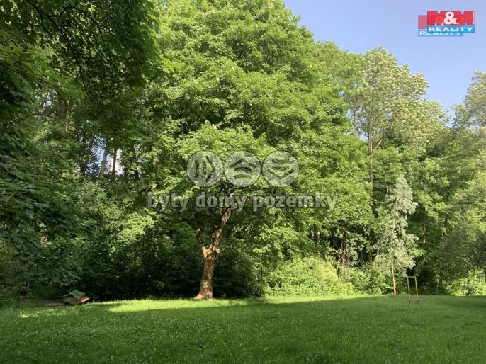 Prodej, Les, Třinec