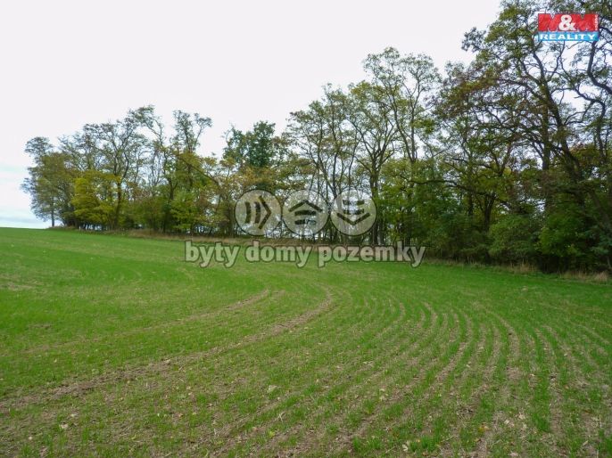 Prodej, Les, Drahobuz