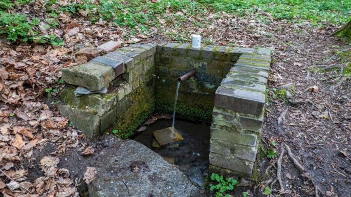 Prodej, Chata, Lančov