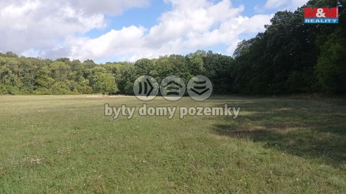 Prodej, Louka, Jenčice