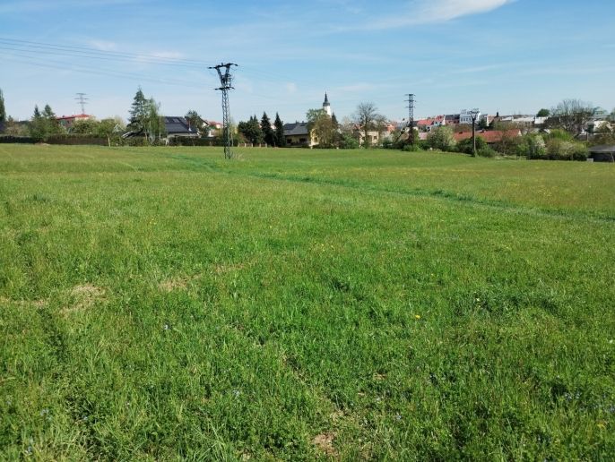 Prodej, Pozemek k bydlení, Bílovec