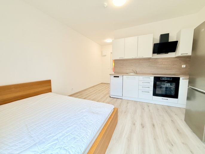 Pronájem, Byt 1+kk, Tuchoměřice