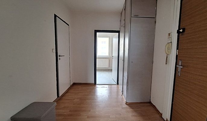 Pronájem, Byt 1+1, Česká Lípa