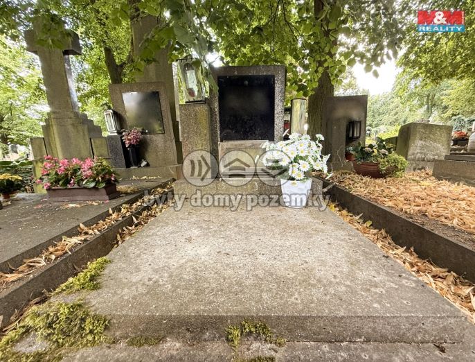 Prodej, Ostatní, Plzeň