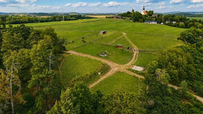 Pronájem, Provozní plocha, Planá