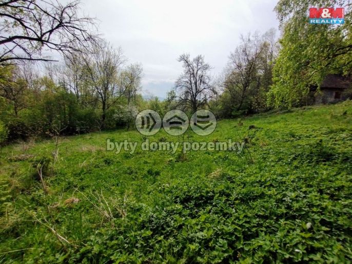 Prodej, Chata, Jeseník nad Odrou