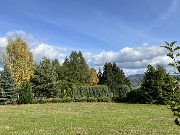 Prodej, Chata, Velké Poříčí