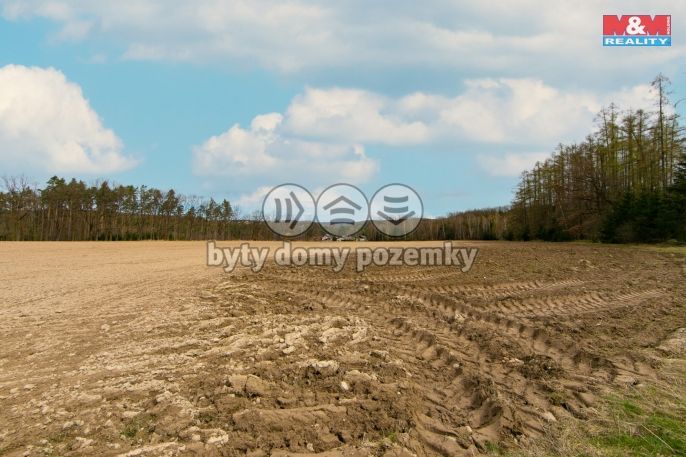 Prodej, Pole, Předenice