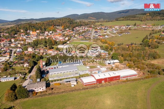 Prodej, Kancelářský prostor, Horní Planá